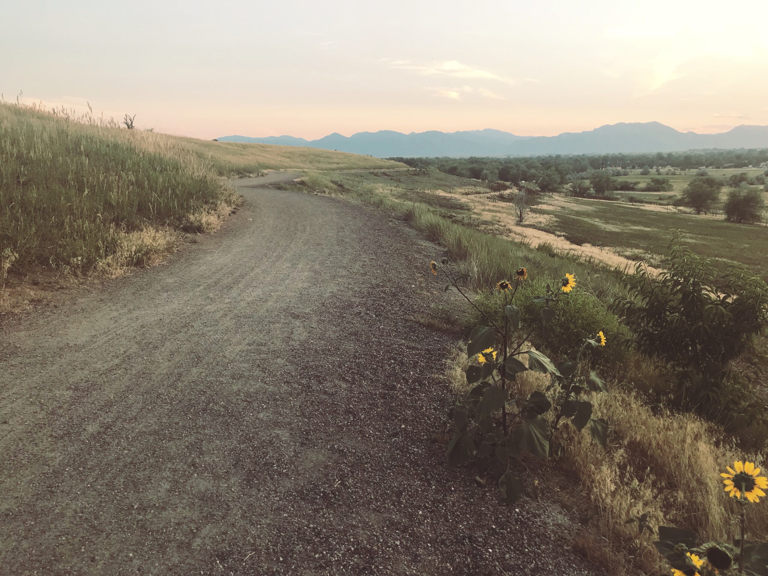 God’s Promises For You (and not for you)