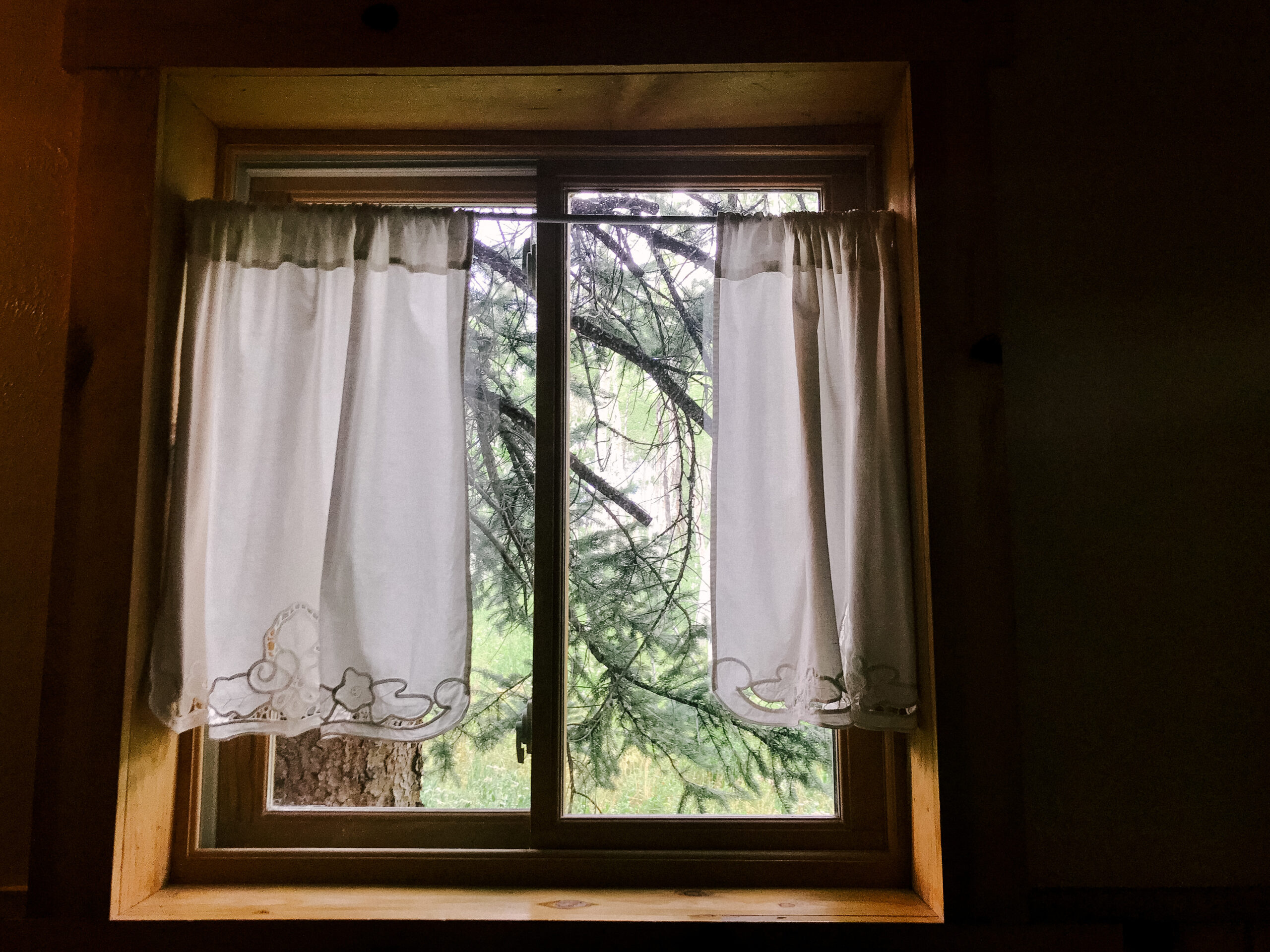 Musings of an Imperfect Perfectionist
