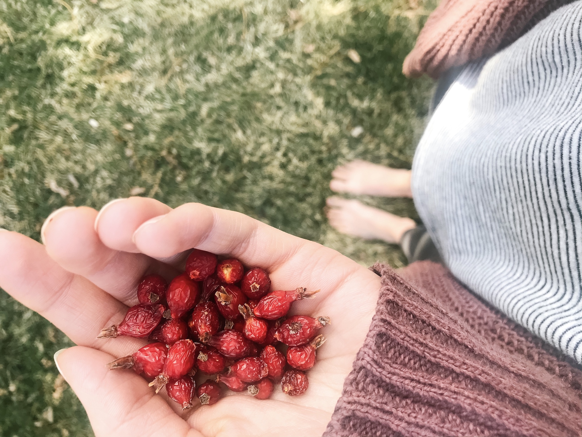 A List of Things I Love: Remembering All There Is To Be Thankful For
