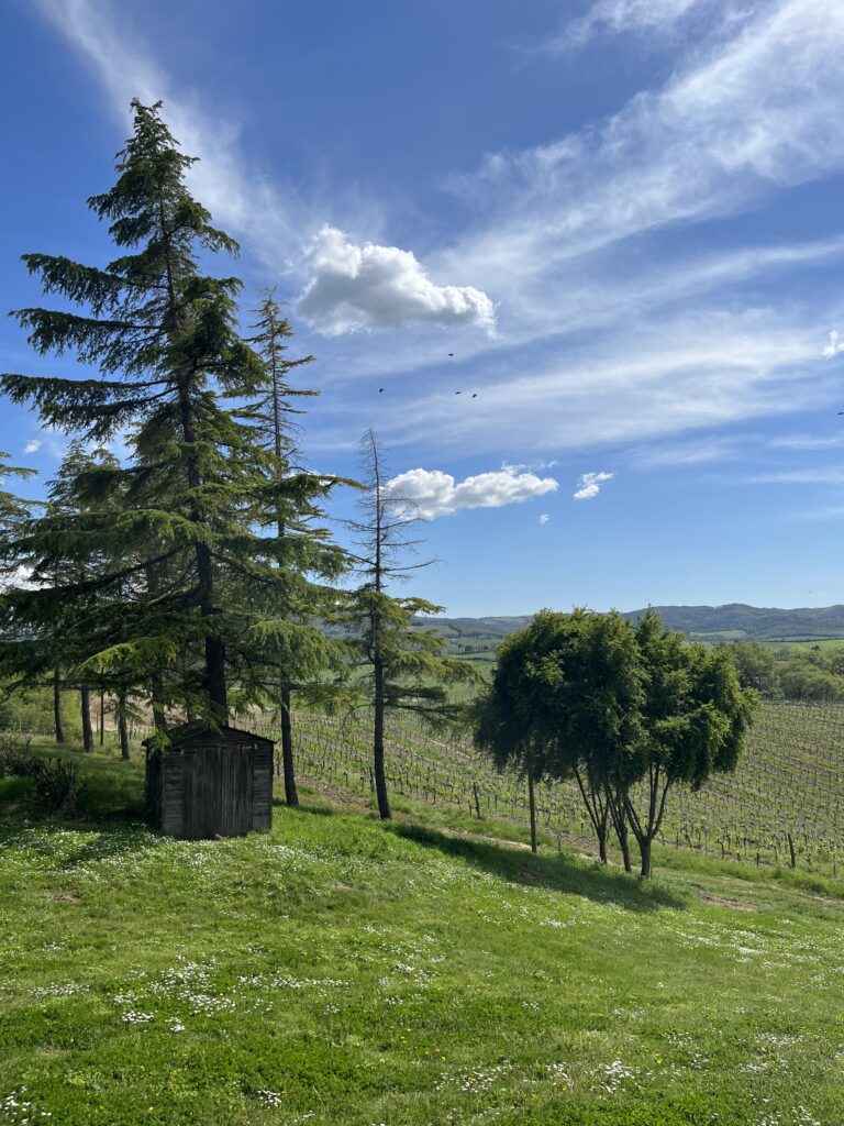 Finding Peace in an Anxious World: My Sabbath Experiment